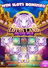 Programa VIP 7r7r
